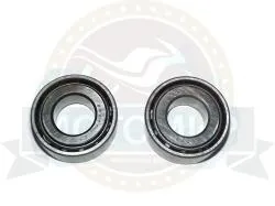 Большая Картинка