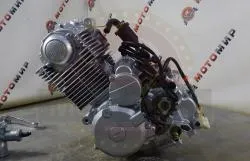 Большая Картинка