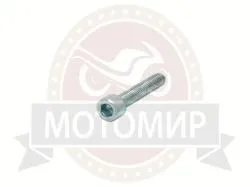 Большая Картинка