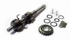 Большая Картинка