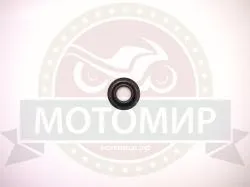 Большая Картинка