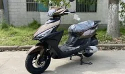 Большая Картинка