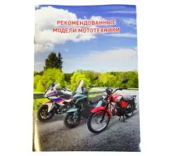 Большая Картинка