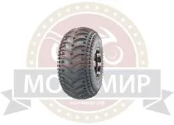 Большая Картинка