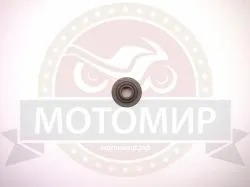 Большая Картинка