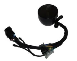 Большая Картинка