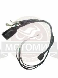 Большая Картинка