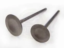 Большая Картинка