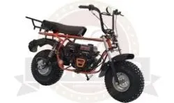 Большая Картинка