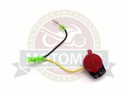 Большая Картинка