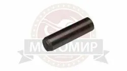 Большая Картинка