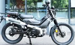 Большая Картинка