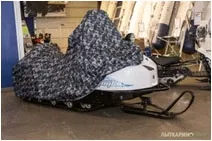 Большая Картинка