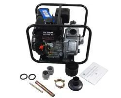 Большая Картинка