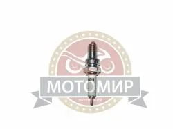 Большая Картинка