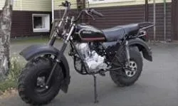 Большая Картинка