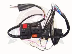 Большая Картинка