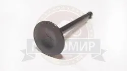 Большая Картинка