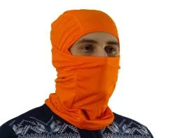 Большая Картинка