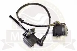 Большая Картинка