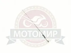 Большая Картинка