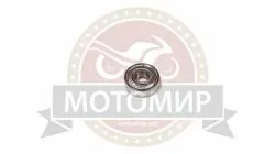 Большая Картинка