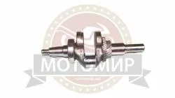 Большая Картинка