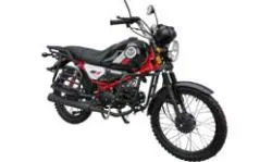 Большая Картинка