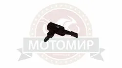 Большая Картинка