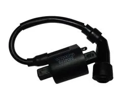 Большая Картинка