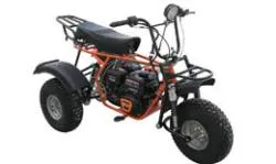 Большая Картинка