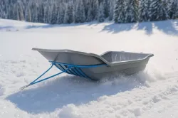 Большая Картинка