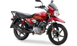 Большая Картинка