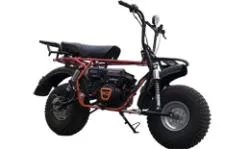 Большая Картинка