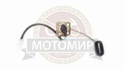 Большая Картинка