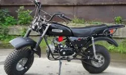 Большая Картинка