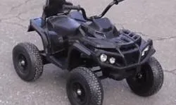 Большая Картинка