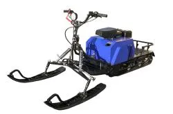 Большая Картинка