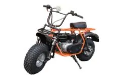 Большая Картинка