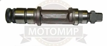 Большая Картинка